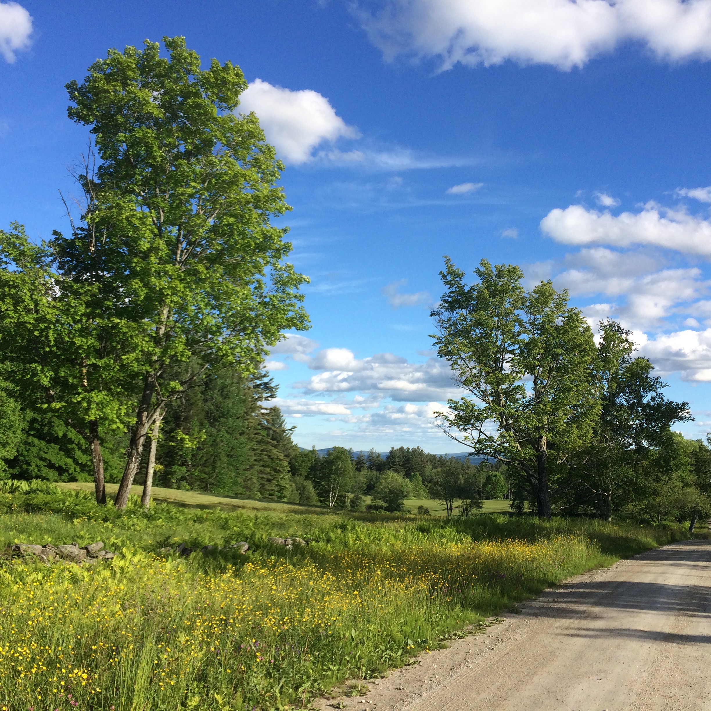 Landgrove, Vermont Mary Mitchell Miller Real Estate